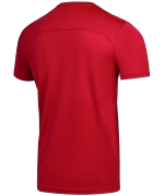 Футболка тренировочная DIVISION Training Tee, красный