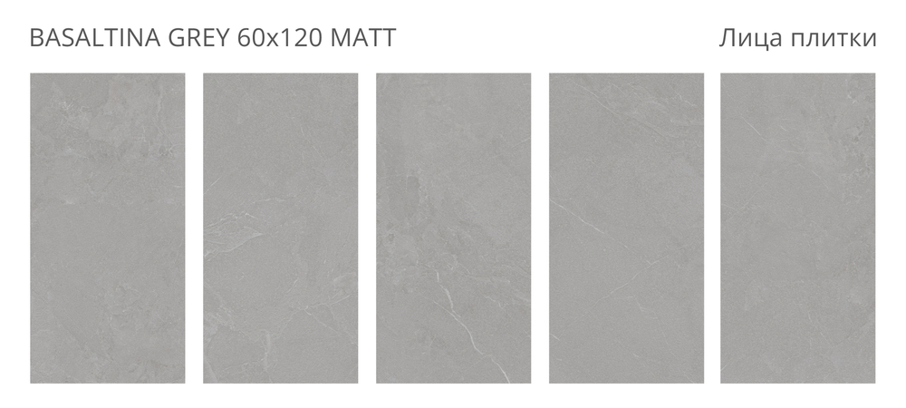 BASALTINA GREY 60x120 MATT