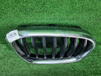 Решетка радиатора правая BMW X3 G01 X4 G02 (17-21)