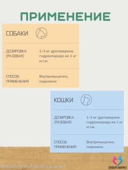 Но-презан раствор для инъекций 2% для кошек и собак, 20 мл