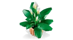 Конструктор LEGO Botanical Collection 11504 Peace Lily