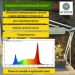 Система выращивания Салатная Максимум АГРОЛО с профессиональной фитолампой, Настольная садовая ферма, Гидропоника