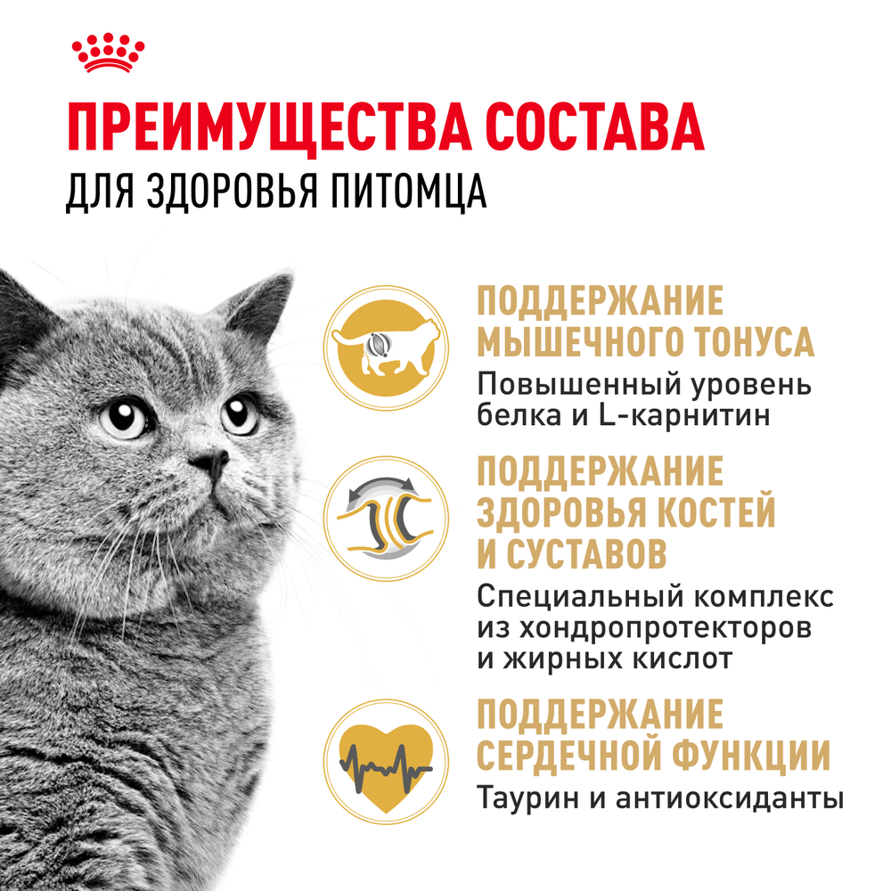 Royal Canin British Shorthair Adult Британская короткошерстная Эдалт Корм сухой для взрослых британских кошек 2кг