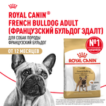 Royal Canin French Bulldog Adult (Французский Бульдог Эдалт) Корм сухой для собак от 12 месяцев породы Французский Бульдог 9кг