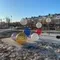Световой одуванчик