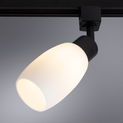 Светильник потолочный трековый Arte Lamp Miia A3055PL-1BK