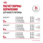 Royal Canin Sphynx Kitten Киттен Сфинкс Корм сухой для котят породы Сфинкс в возрасте от 4 до 12 месяцев 400г