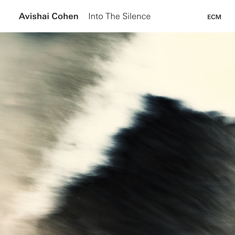 Avishai Cohen Into The Silence