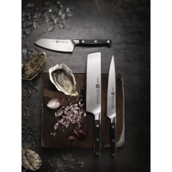 Zwilling Нож Pro 26см для мясной нарезки 38400-261-0