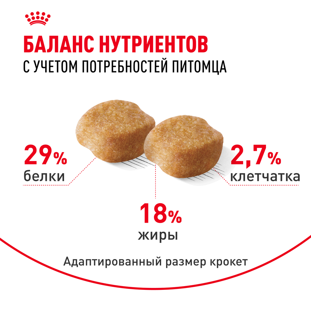 Royal Canin Yorkshire Terrier Adult 8+ Йоркширский Терьер Эдалт Корм сухой для стареющих собак породы Йоркширский Терьер 500г