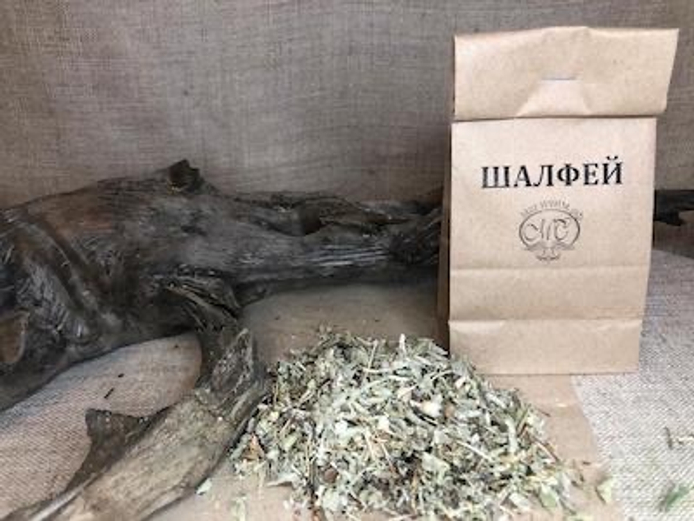 ШАЛФЕЙ