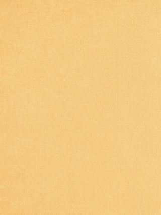 Микровельвет Velvet Lux (Вельвет Люкс) 30