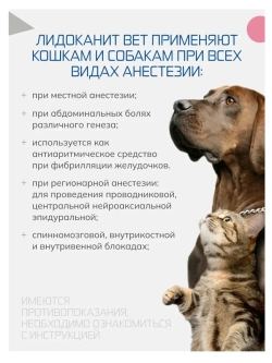 Лидоканит Вет 2% маститный антисептик 20 мл