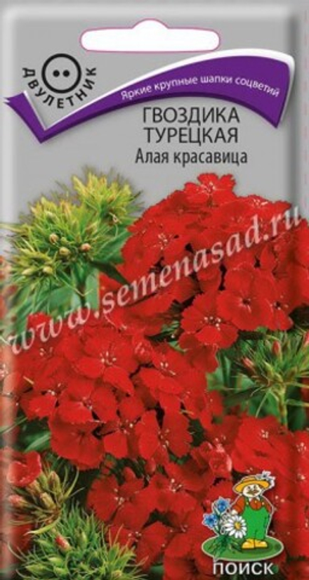 Гвоздика турецкая алая красавица 0,5гр