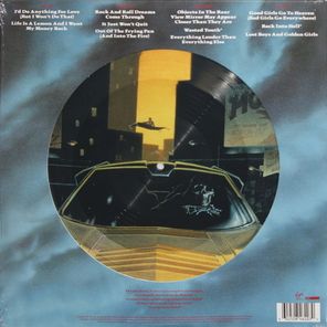 Meat Loaf / Bat Out Of Hell II - Back Into Hell (Picture Disc)(2LP)