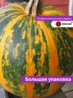 Тыква мускатная Витаминная 20шт.