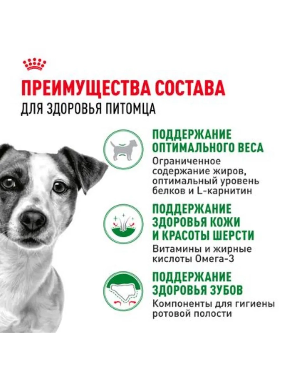 MINI Adult Корм для собак мелких пород 4кг
