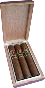 Vinokur Oliveros Robusto набор