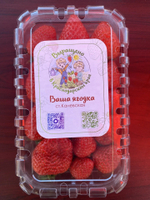 Клубника