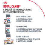 Royal Canin Maine Coon Adult Мейн Кун Эдалт Корм сухой для взрослых кошек породы Мэйн Кун 400г