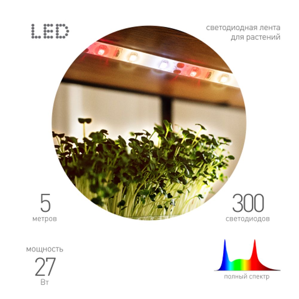 Светодиодная лента для растений ЭРА FITO-Strip Light-Rа90-300LED-5m-12V-IP65 полного спектра 5м IP65 с адаптером 12В | Светодиодные ленты для растений
