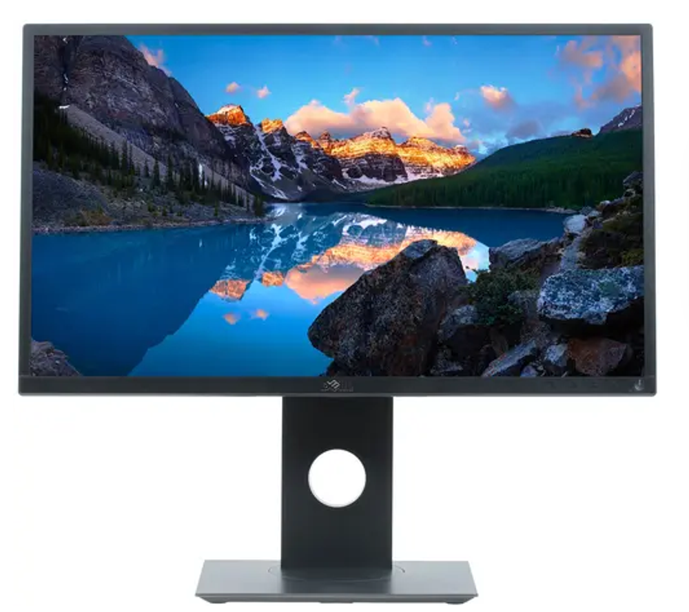 Монитор Dell Flat Panel P2417H