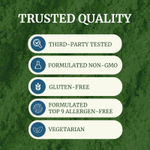 Nobi Nutrition, чистая моринга, 5000 мг, 60 капсул