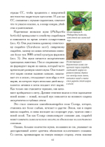 Темные тучи над Европой. Скрытая опасность новой тирании (PDF)