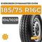 Evergreen Dynamaster EV516 185/75 R16C 104/102R