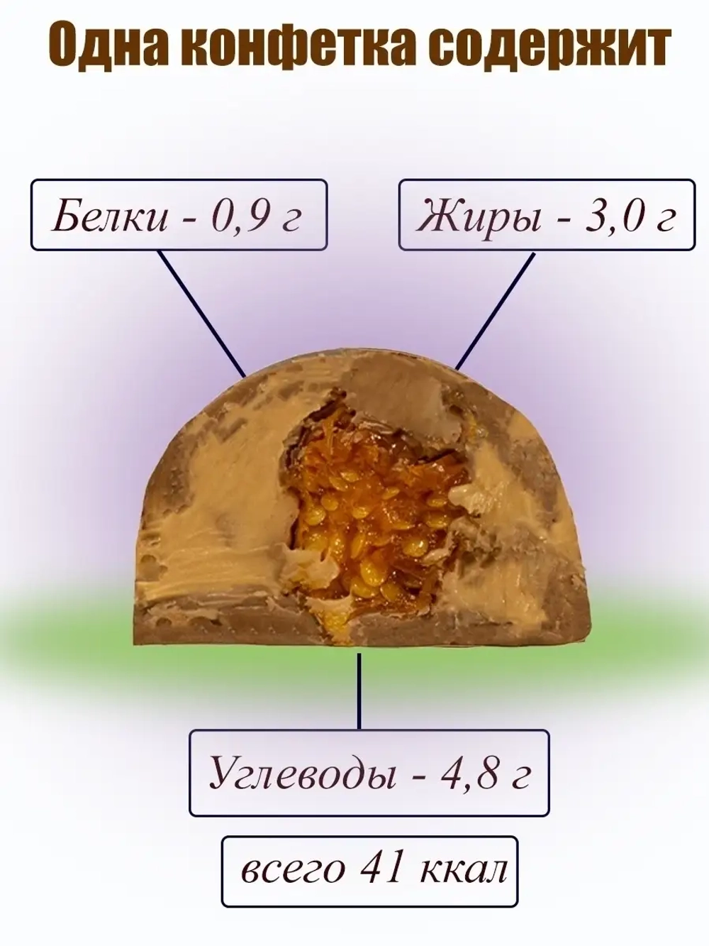 Шоколадные конфеты с физалисом "DessertLab"