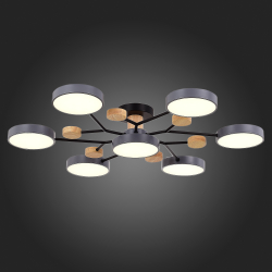 Светильник потолочный Evoluce Faema SLE6006-702-07