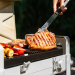 Газовый гриль портативный Karbo Grill X1 Natural Grey
