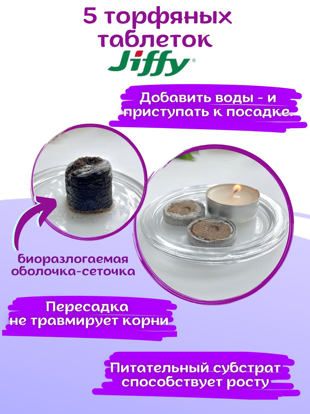 Семена Эустома высокорослая многолетняя Белая, Лизиантус комнатный + торфяные таблетки Jiffy в подарок, 5шт