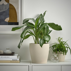 IKEA PERSILLADE  (ИКЕА ПЕРСИЛЛАДЕ)  -  Кашпо - светло-бежевый 19 см