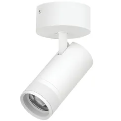Спот Canno Pro C4306SO Lightstar