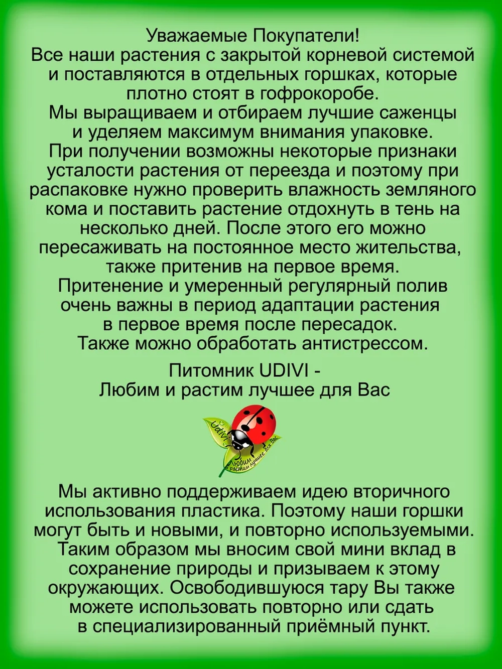 Роза Чип энд Дейл