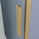 Душевая дверь Veconi Ottimo P20 G, 1000x1900, золото брашинг, стекло матовое