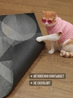 Коврик придверный Madame Gata VECTOR