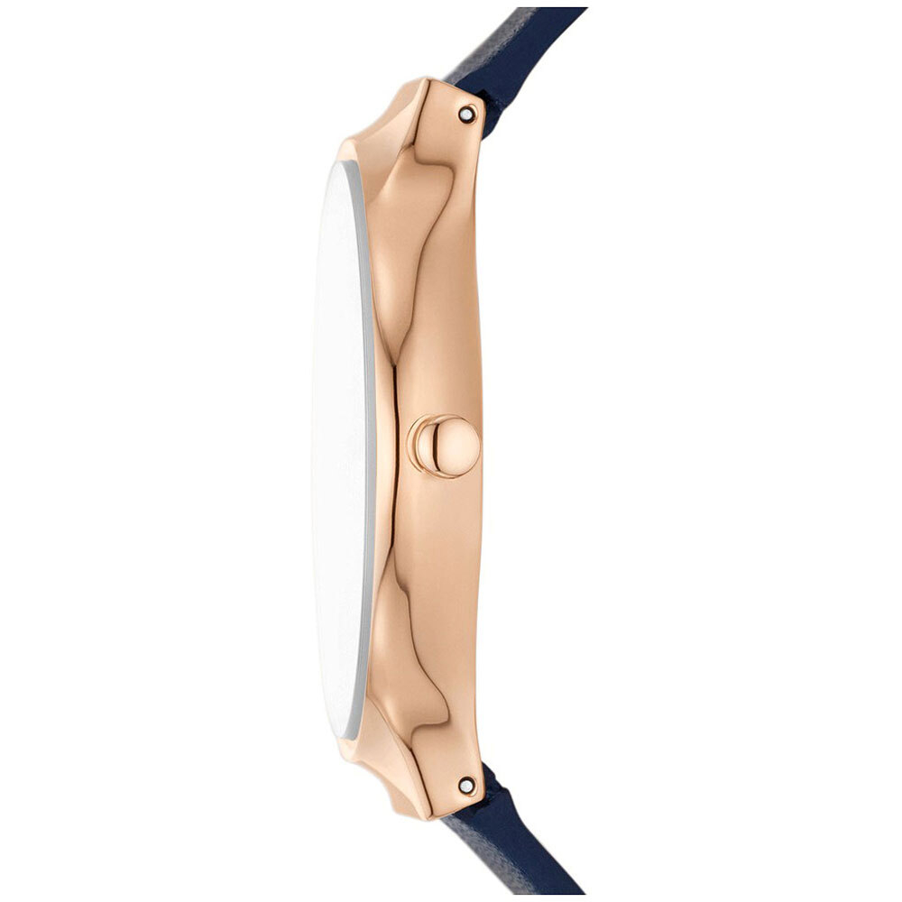 Женские наручные часы Skagen SKW3026