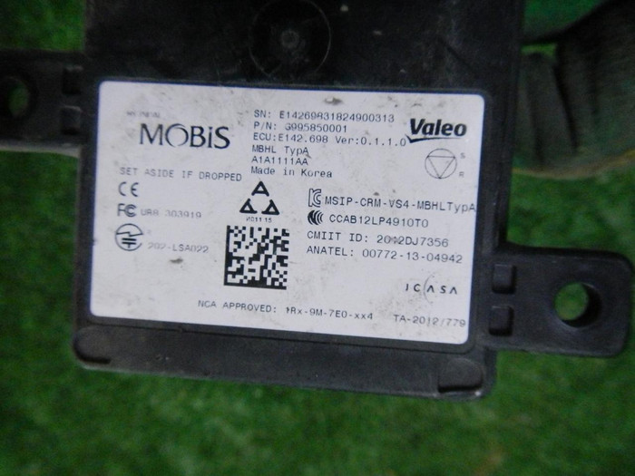 DSCN8727.JPG