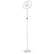 Торшер Loong CL810030 Citilux