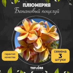 Плюмерия "Банановый поцелуй" семена 3 шт