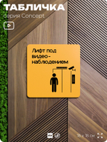 Табличка Видеонаблюдение в лифте, на дверь и стену, информационная и навигационная, серия CONCEPT, 18х18 см, пластиковая, Айдентика Технолоджи