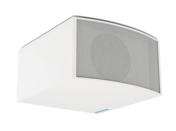 CVGAUDIO SUBone model C-8W/CR/T пассивный трансляционный сабвуфер