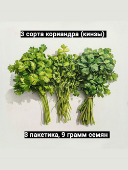Кориандр (кинза) 3 сорта, 3 упаковки, семена 9 гр.