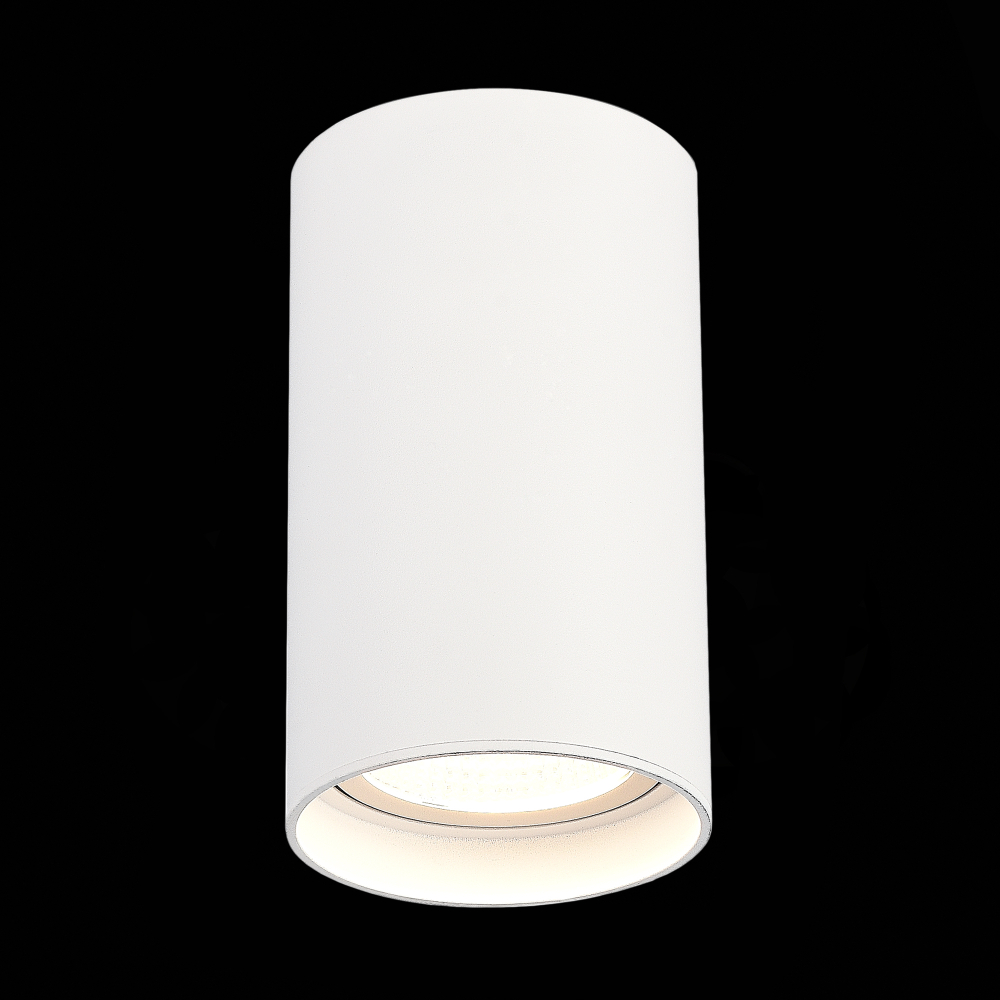 Светильник потолочный ST Luce ST157.542.20