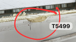 Окно Пластиковое Б/У 1530(в) х 2060(ш)