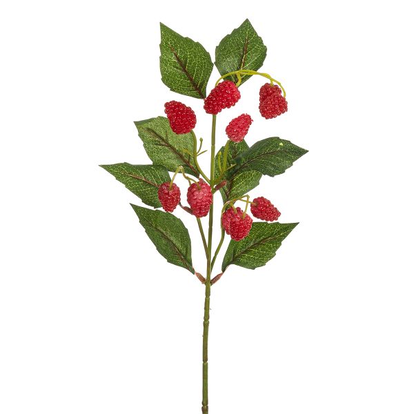 Веточка декоративная Fiebiger Floristik: Ежевика l=45 см