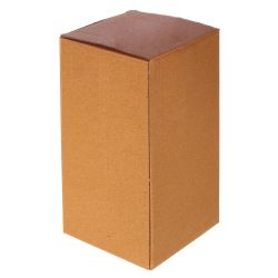 GAEM Ваза, 900 мл, L10 W10 H19,5 см