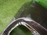 DSCN3932.jpg